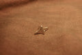 Brooch bead