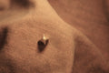 Dames stone brooch