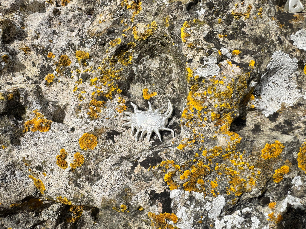 Mealy bug brooch